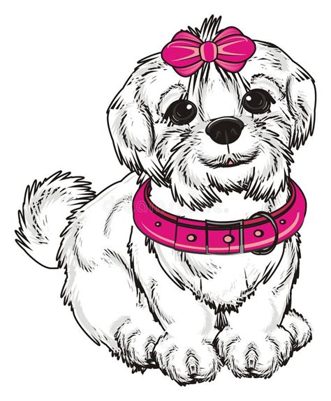 White Dog Pink Bow Stock Illustrations 443 White Dog Pink Bow Stock