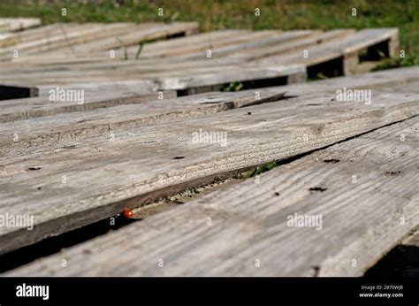 Old Wooden Pallets On The Ground Closeup Empty Pallets Outdoors