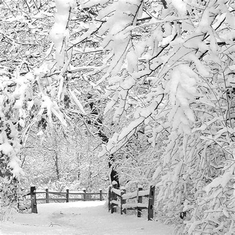 Entering Winter Wonderland By Incredi On Deviantart Winter Szenen