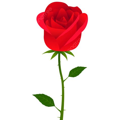 Rose Stems Vector Hd Png Images Red Rose With Stem And Leaves Rose