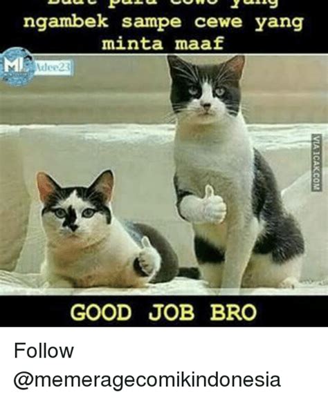 See more of animal memes on facebook. 25+ Best Good Job Bro Memes | Broing Memes, Jobbing Memes, Yang Memes