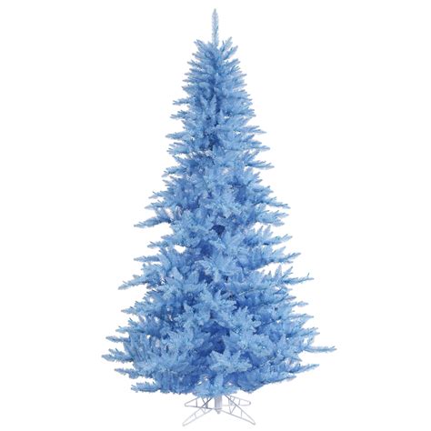 55 Foot Sky Blue Fir Tree Unlit K164255