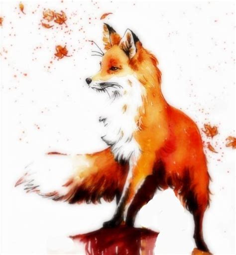 Fox Art Id 86219