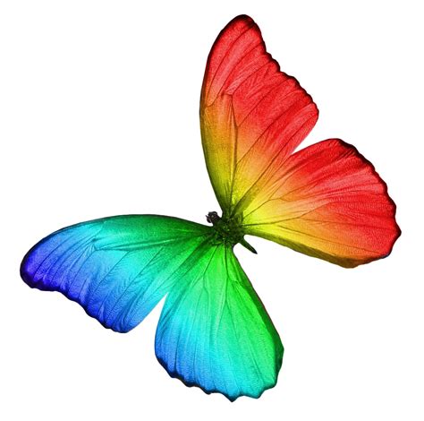 Rainbow Glowing Butterfly Png Photo