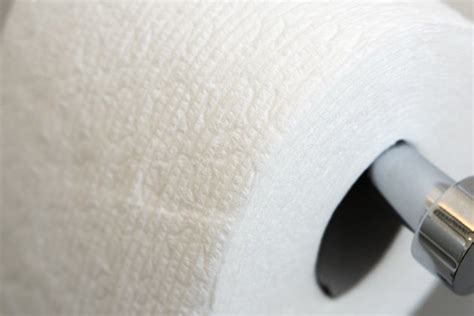 The Best Toilet Paper Reviews By Wirecutter