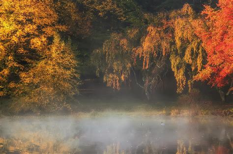 Autumn Morning At The Lake Photograph By Gary Slawsky Fine Art America