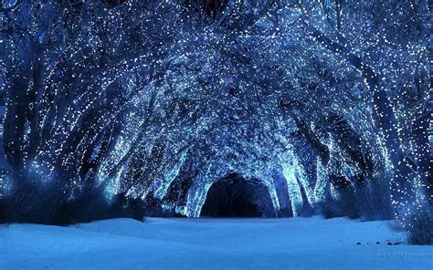 Winter Night Sky Wallpaper Photos