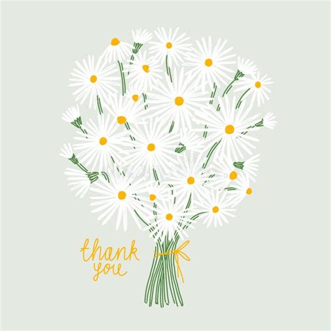 Thank You Card With Bouquet Of Daisies Vector Illustration Stock