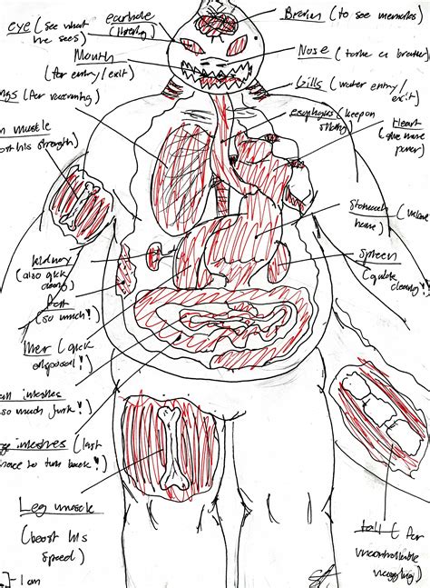 Franchesca druggan ba, msc last reviewed: Nawa's Anatomy Map — Weasyl