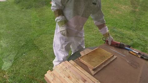 It is the oldest and most commonly used style in the world. From Langstroth to Top Bar Hive Fast and Easy! - YouTube