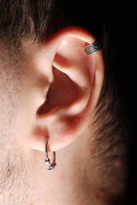 Pin By Grant Bemis On Tattoos Guys Ear Piercings Men S Piercings