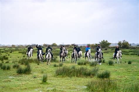 Camargue Ride Horse Riding Holidays In France Globetrotting
