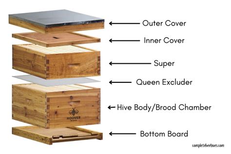 details about 5 brood boxes langstroth 10 frame hive frame bee hive frame beehive w metal roof