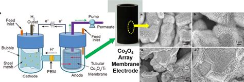 Catalytic Membrane Electrode With Co3o4 Nanoa Eurekalert