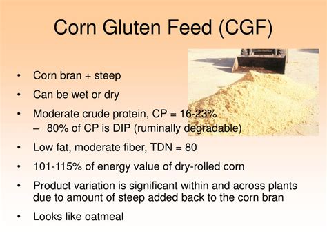 PPT Understanding Corn Processing Co Products Use In Livestock Feeds