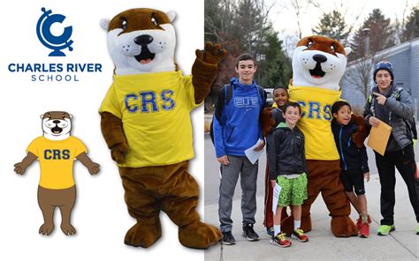 Custom Mascot Costumes Bring Your Mascot To Life Promo Bears