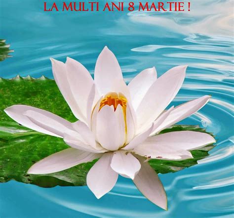 #felicitări de 8 martie pentru mame. CADOURI 8 MARTIE IDEI- CADOU 8 MARTIE PENTRU MAMA ...