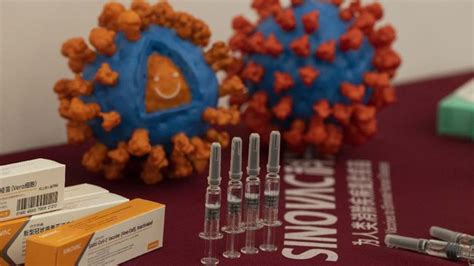 January, 2020 sinovac begins developing an inactivated vaccine against the coronavirus. Unpad Sebut Uji Klinis Vaksin Sinovac Berakhir Mei 2021