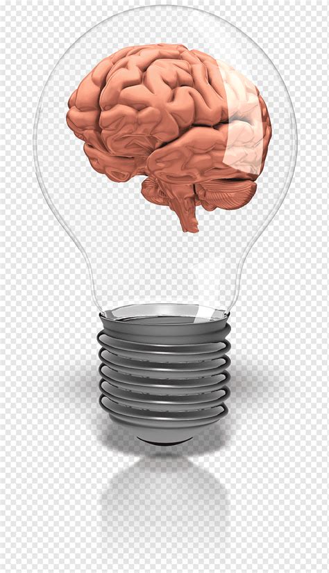 Brain Inside Light Bulb Illustration Incandescent Light Bulb Animation