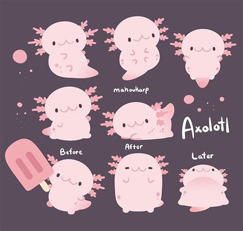 The axolotlmany amphibians are able to regenerate, but none of them can even hold a candle to the regenerative abilities of the axolotl. A lotl Axolotl by mahoukarp | Cute animal drawings, Cute ...