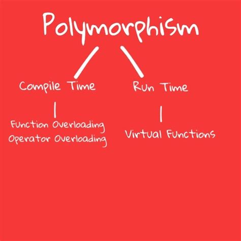 What Is Polymorphism And Its Example