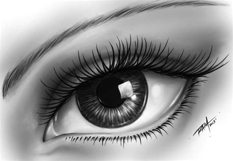 First, draw the irises in your eye. Viewing Gallery For - Realistic Eye Drawing | Eye drawing, Realistic eye drawing