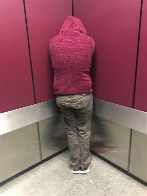 I Camouflaged Into The Elevators In My Building Rmildlyinteresting