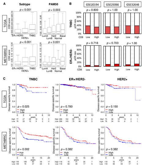 Ijms Free Full Text Cd8 T Cell Score As A Prognostic Biomarker For