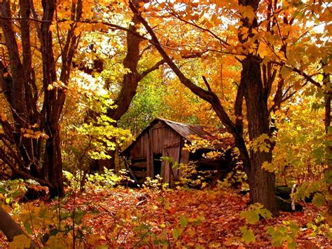Secluded Cottage In Autumn Forest Desktop Nexus Wallpapers Autumn
