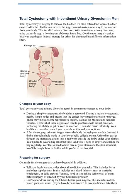 Pdf Total Cystectomy With Incontinent Urinary Diversion In Men