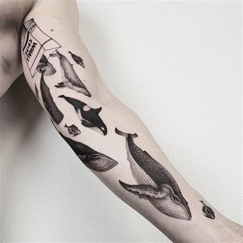 Einfach Mehr Tattoo On Instagram Amazing Whale 🐳🐋🦈 Tattoos By Matteo