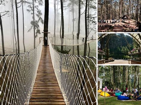 Gambar tentang Orchid Forest Cikole Lembang Pariwisata, Liburan, Indonesia