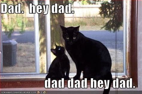 Fathers day is june 19, 2016. 14 Father's Day Memes To Make You Laugh Out Loud As You ...