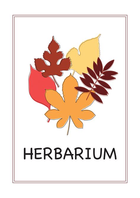 February 15th, 2020 | etiketten vorlage | by bryan fernandez. Deckblatt Herbarium - 4 | Deckblatt, Herbarium vorlage ...