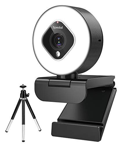 Best Live Streaming Webcams In August 2022 Scribetime