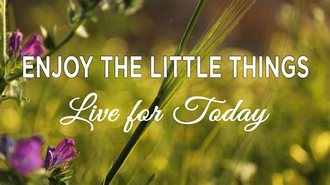 Inspirational Video Enjoy The Little Things In Life Live For Today