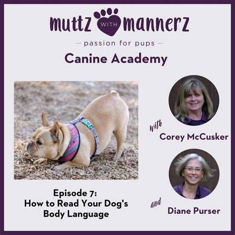 How To Read Your Dogs Body Language Muttz With Mannerz Canine Academy