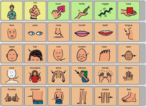 Body Parts Communication Board From