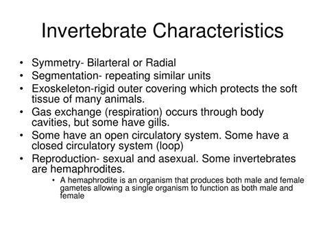 Ppt Invertebrate Characteristics Powerpoint Presentation Free