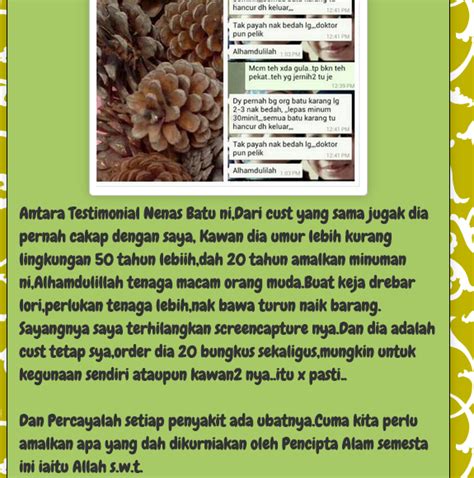 Ia juga disebut sebagai vitamin anti stress. NUSANTARA MAJU ENT LANGKAWI(017-2076411) WHATSAPP ...