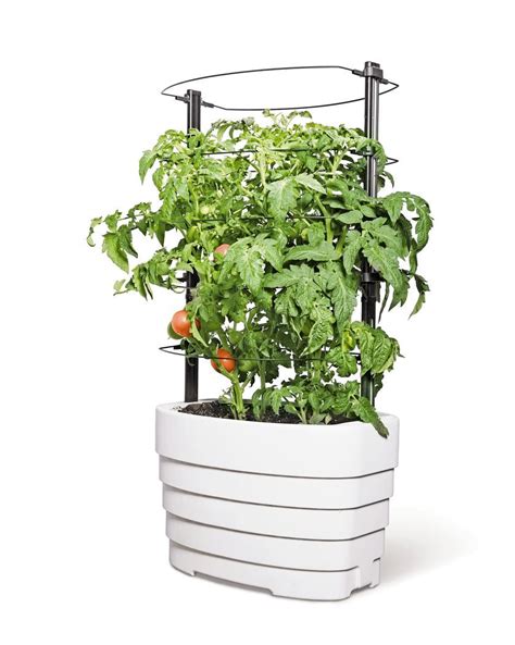 Gardeners Revolution Classic Tomato Planter With 5 Gallon Water