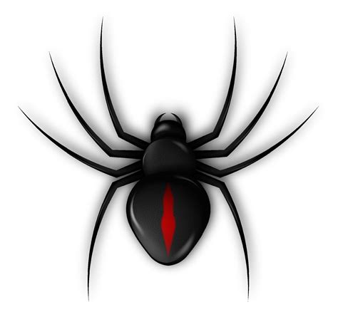 Spider Icon For Halloween Web Banner Decoration Dangerous Poisonous