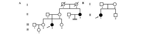 Mutational Analysis Of The Androgen Receptor Gene In Two Chinese Families With Complete Androgen