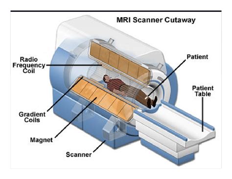 Magnetic Resonance Imaging Mri Part How It Works