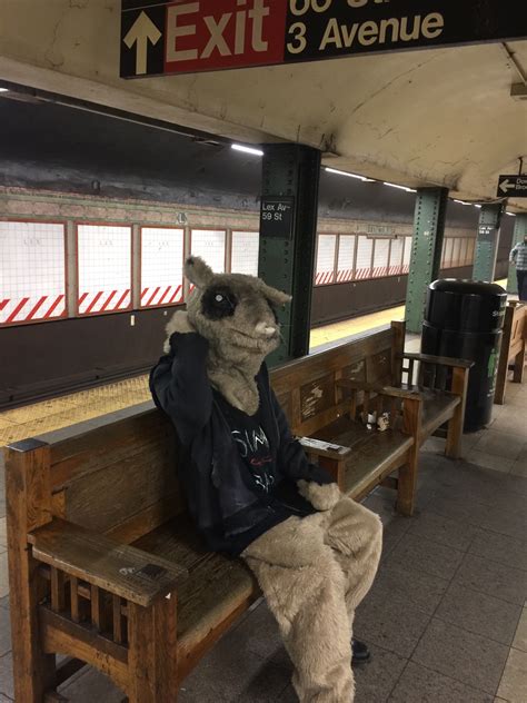 No One Gives A Rats Ass About A Rat Costume On The Nyc Subway New