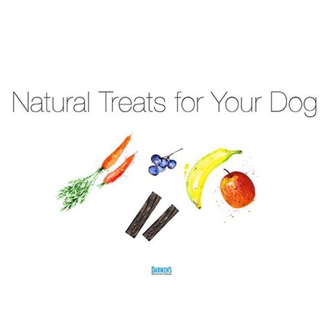 Natural Treats For Your Dog Darwins Natural Pet Products Natural