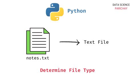 Python Determine File Type Data Science Parichay
