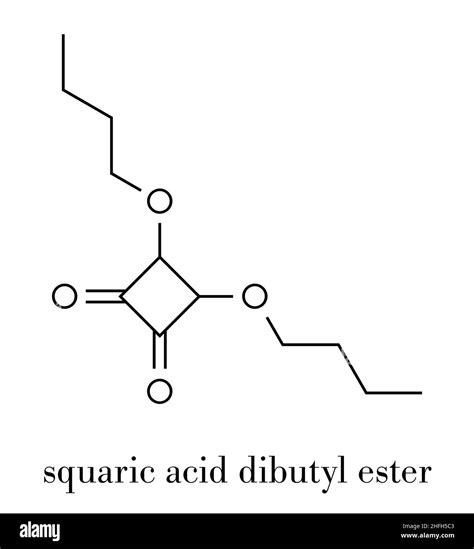 Squaric Acid Dibutyl Ester Drug Molecule Skeletal Formula Stock Vector