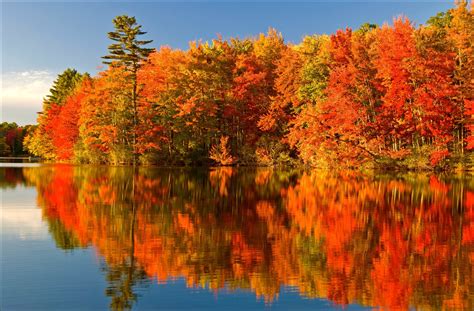 Download Other Autumn Colours Algonquin Park Ontario Reflection Lake