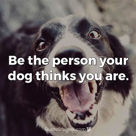 Be The Person Your Dog Thinks You Are Quote Squirrel